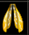 金翅膀.png